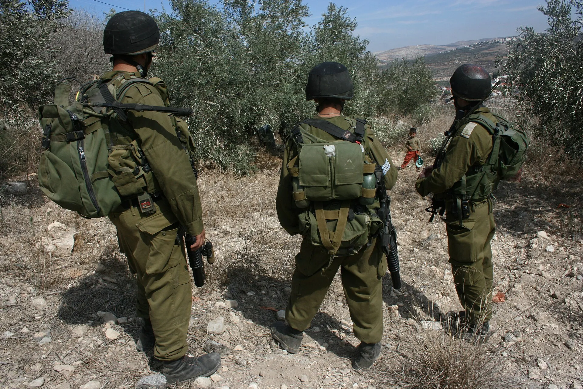 Palestinians and US Journalist Injured as Settlers Attack West Bank Olive Harvest